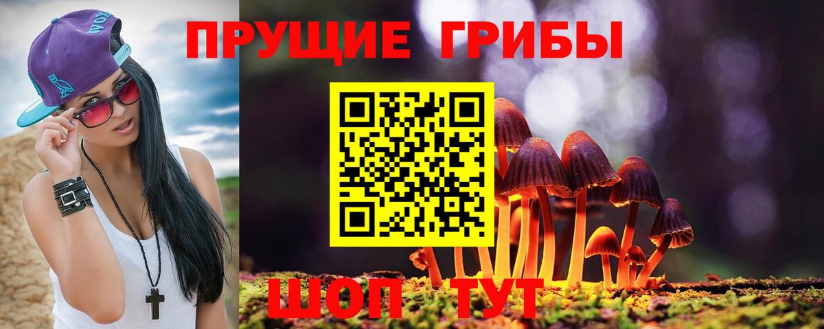 Галлюциногенные грибы GOLDEN TEACHER Семилуки